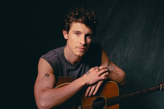 SHAWN MENDES 2025