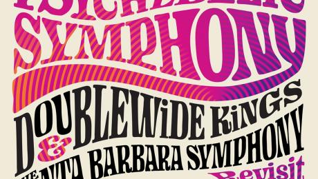 Psychedelic Symphony with Doublewide Kings and SB Symphony 11/8